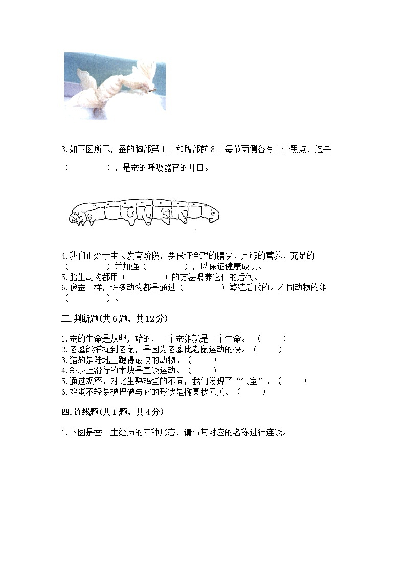 教科版三年级下册科学期末测试卷带答案(精练)第2页