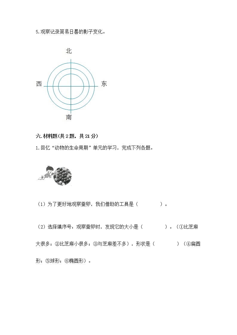 教科版三年级下册科学期末测试卷及参考答案(夺分金卷)第3页