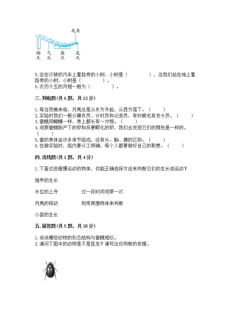 教科版三年级下册科学期末测试卷及答案(最新)第2页