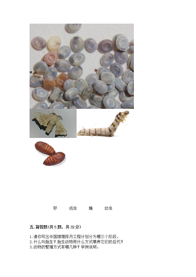 教科版三年级下册科学期末测试卷及参考答案(达标题)第3页