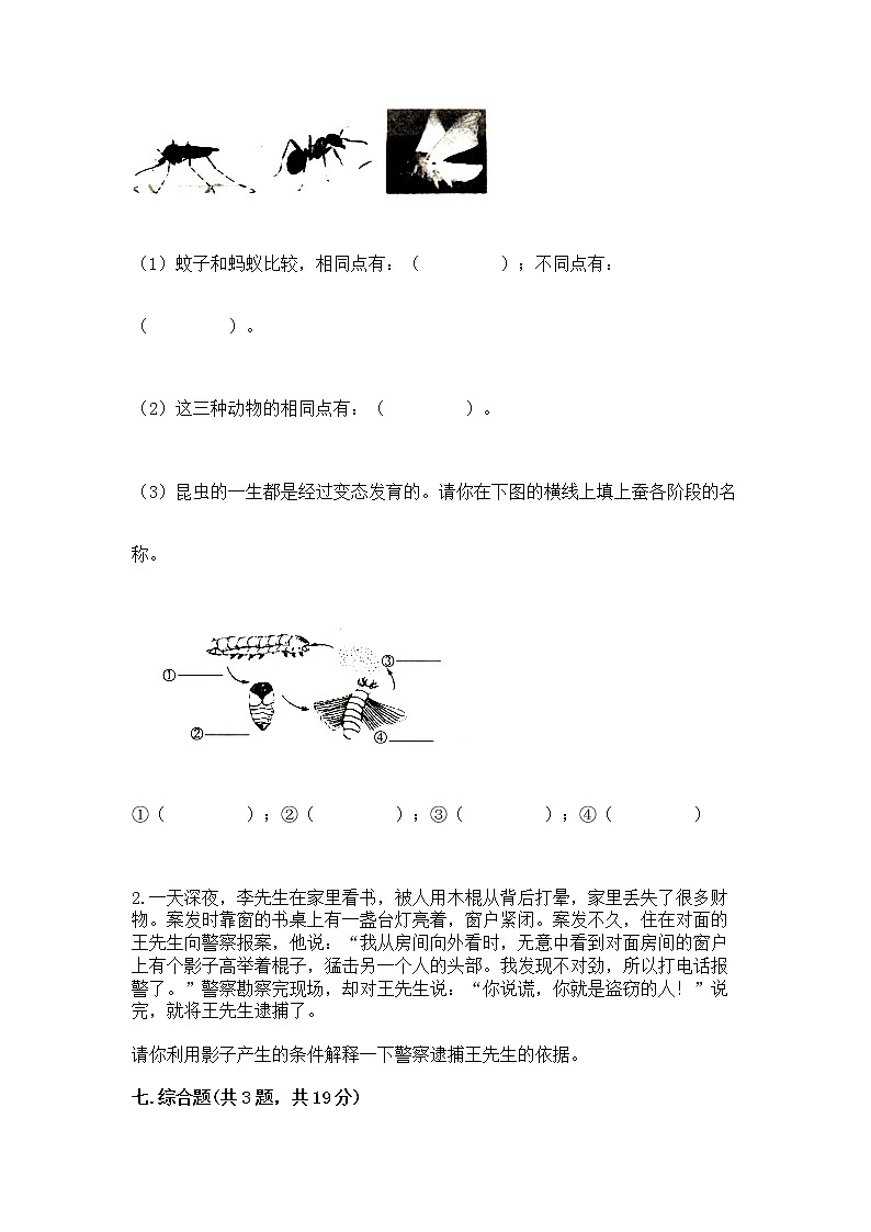 教科版三年级下册科学期末测试卷加答案(培优)第3页