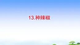 13.《种辣椒》教学课件