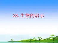 23.《生物的启示》教学课件