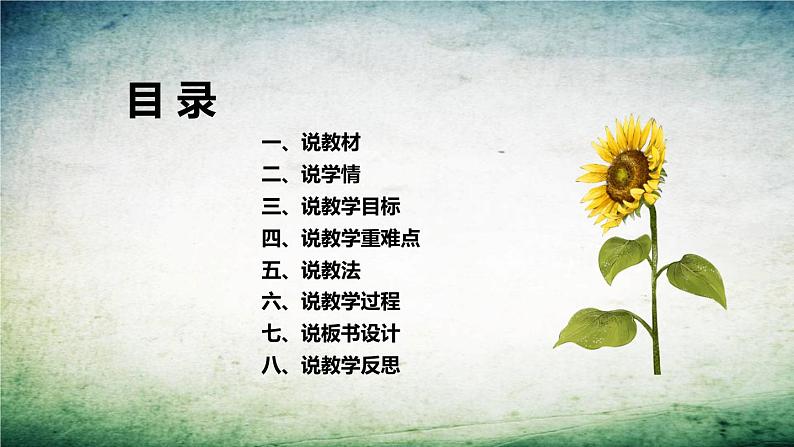 大象版(2017)科学四年级下册《我们的豆苗》说课稿(附反思、板书)课件03