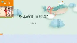 教科版科學(xué)二年級2.6《身體的時間膠囊》課件+視頻（送教案）