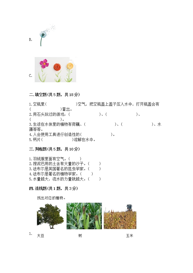 苏教版一年级下册科学期末测试卷加答案(精选题)第2页