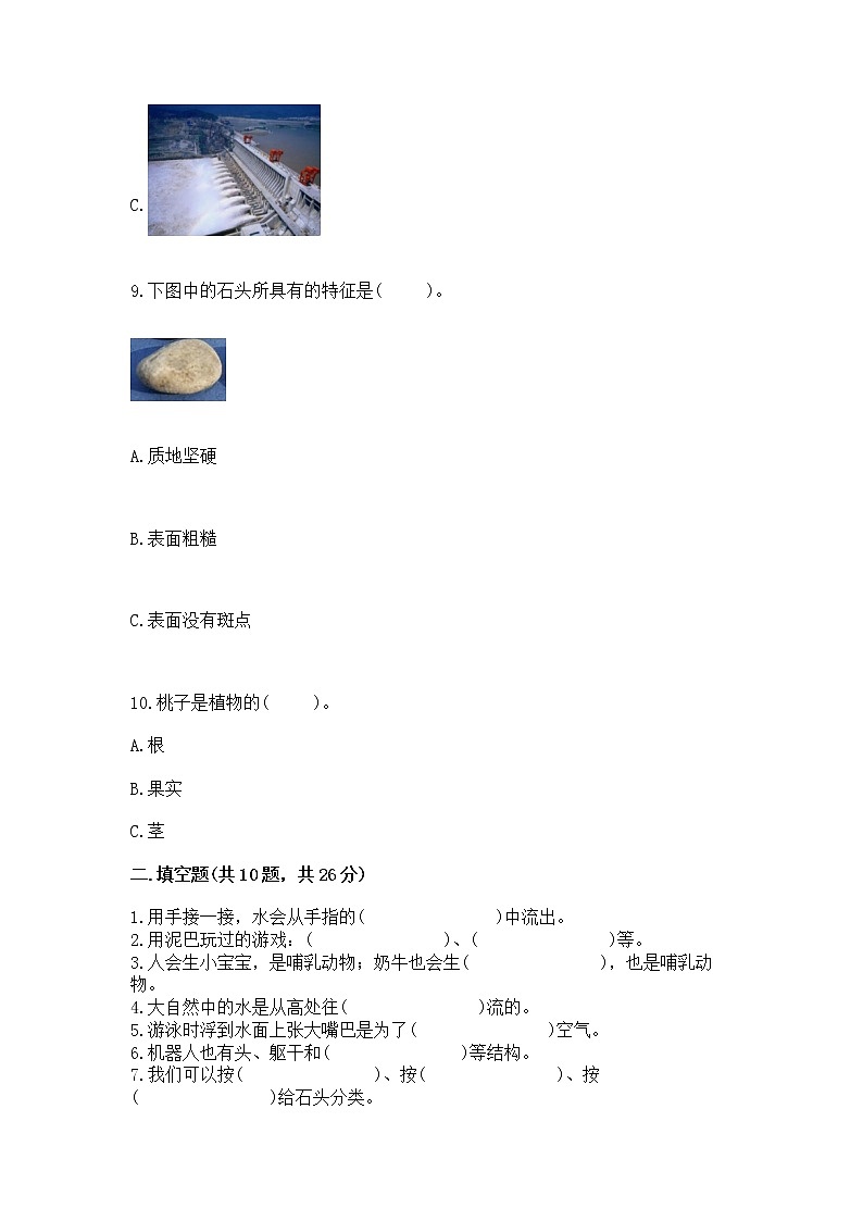 苏教版一年级下册科学期末测试卷及下载答案第3页