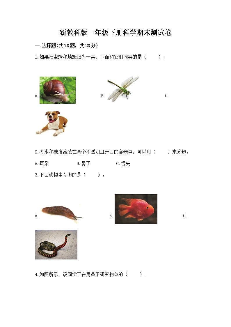 新教科版一年级下册科学期末测试卷及完整答案【网校专用】01