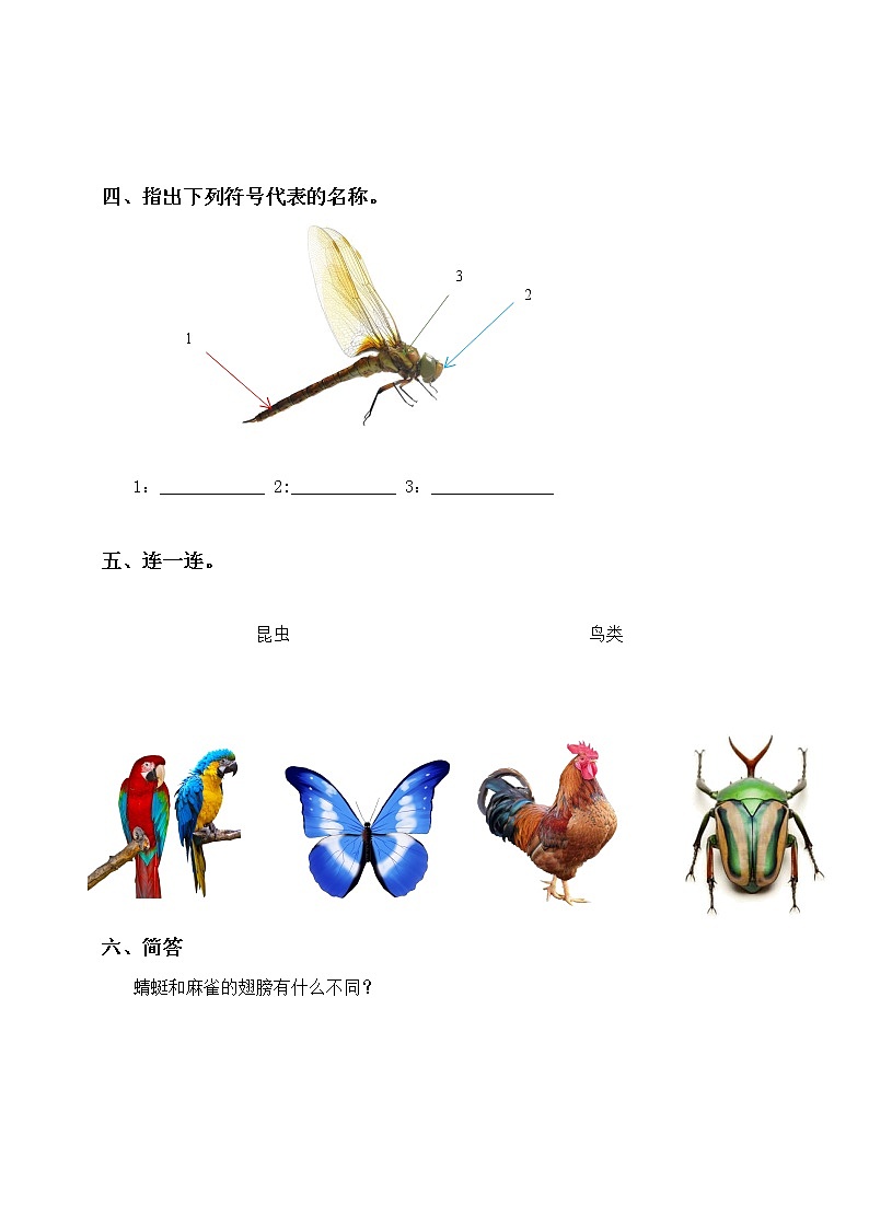 粤教版科学三上1.2《蜻蜓与麻雀》同步练习第2页