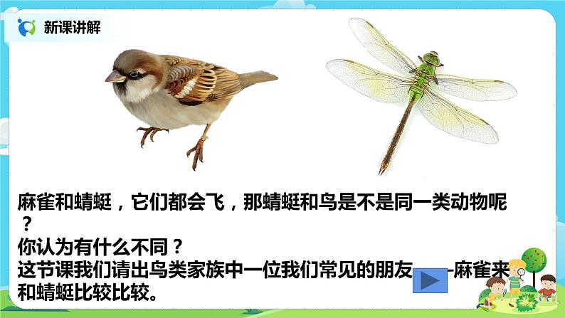 粤教版科学三上1.2《蜻蜓与麻雀》课件第5页