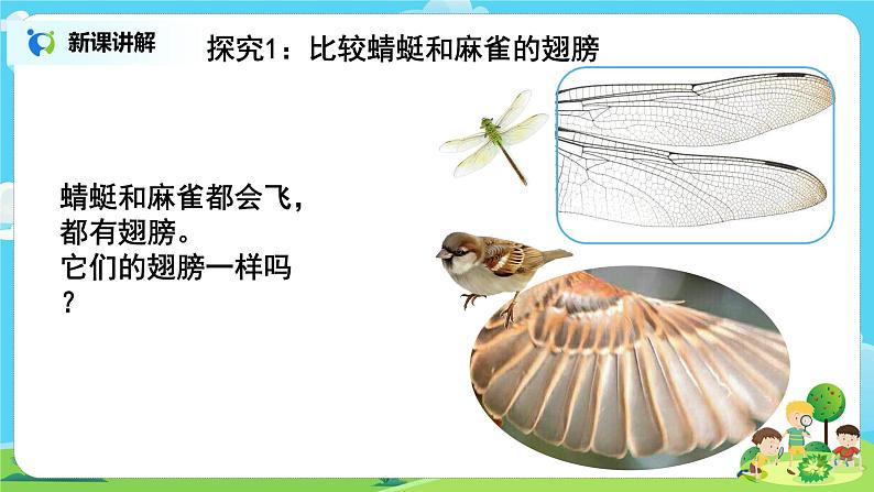 粤教版科学三上1.2《蜻蜓与麻雀》课件第8页