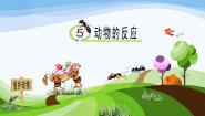 小学5 动物的反应教学ppt课件