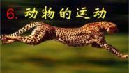 青岛版 (五四制2017)一年级下册6 动物的运动教学ppt课件