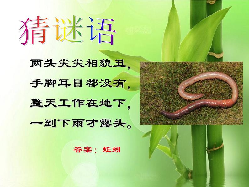 13.蚯蚓的家教学课件第2页