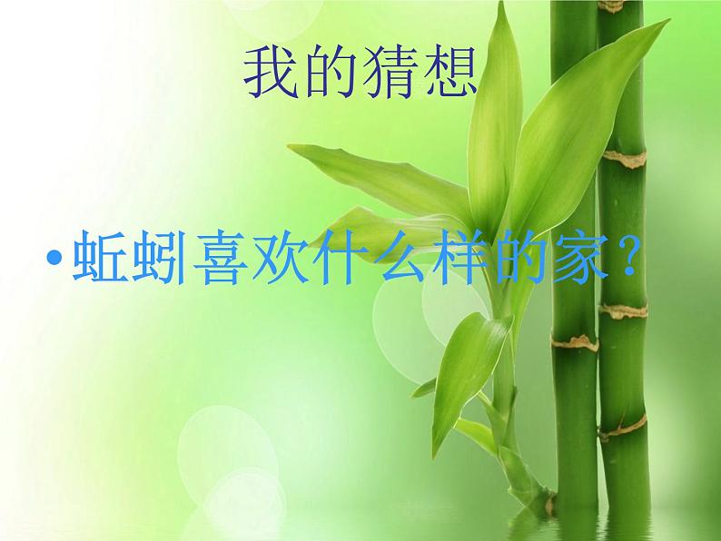 13.蚯蚓的家教学课件第3页