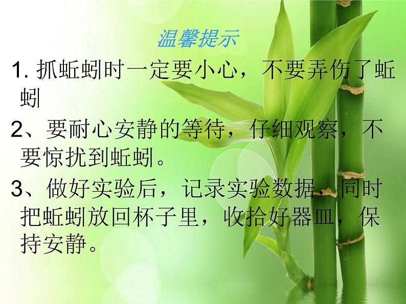 13.蚯蚓的家教学课件第4页