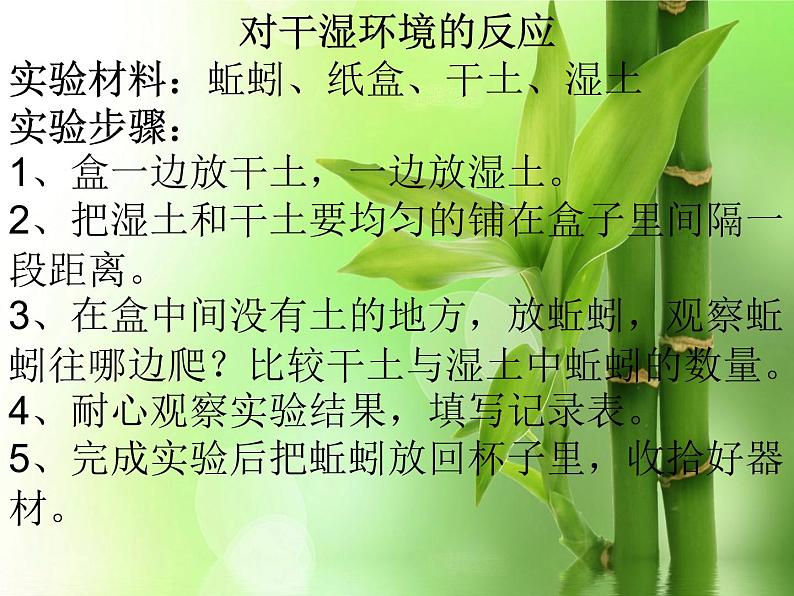 13.蚯蚓的家教学课件第5页