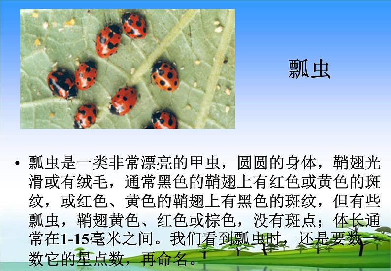 14.土壤中的小动物教学课件第8页