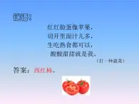 15.番茄与番茄酱教学课件