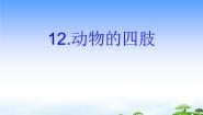 2021学年12 动物的四肢教学ppt课件
