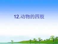 12.动物的四肢教学课件