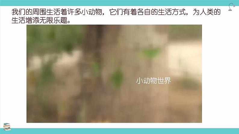 2.3《观察一种动物》课件第1页