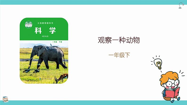2.3《观察一种动物》课件第2页