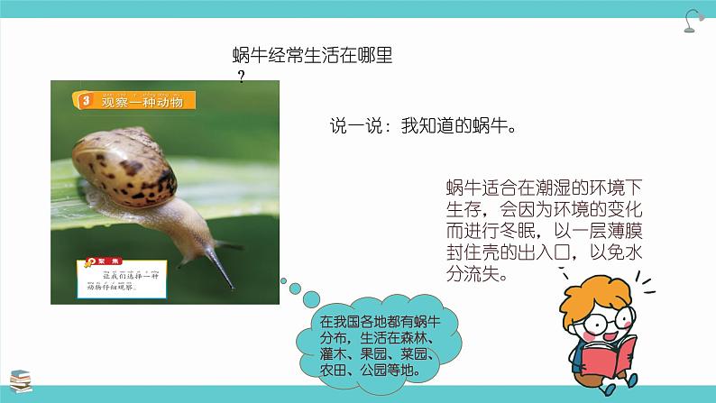 2.3《观察一种动物》课件第7页