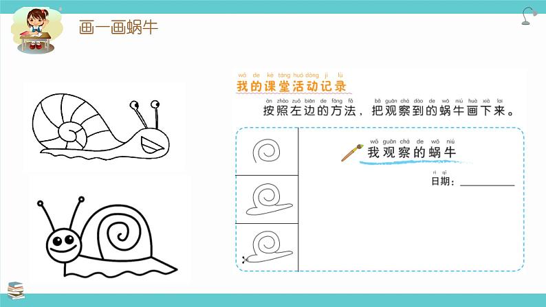 2.3《观察一种动物》课件第8页