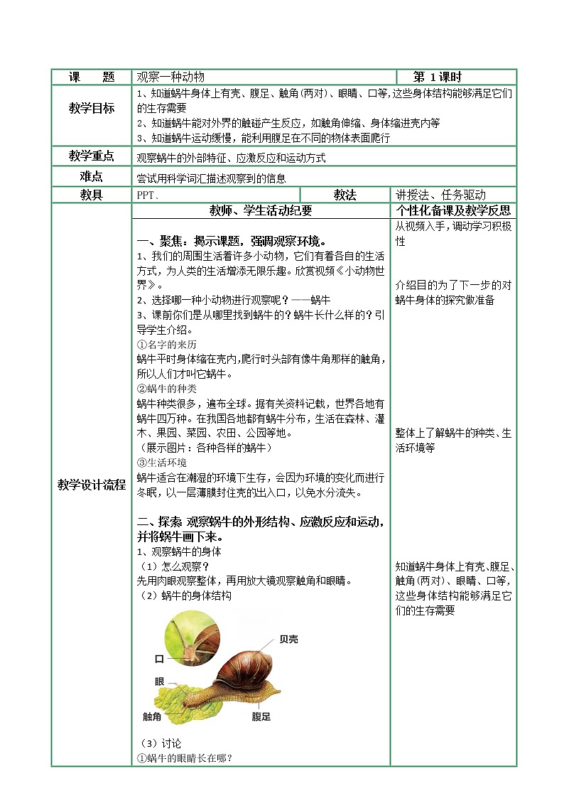 2-3《观察一种动物》教案第1页