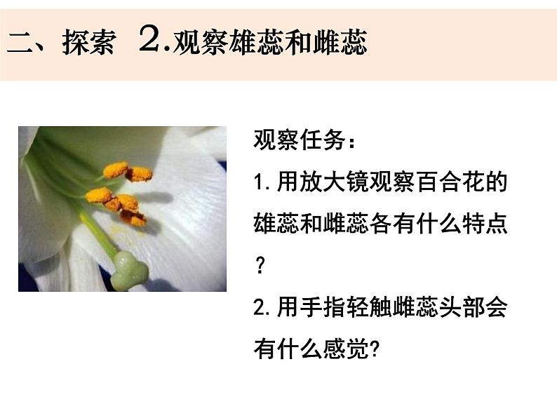 四下《凤仙花开花了》第7页