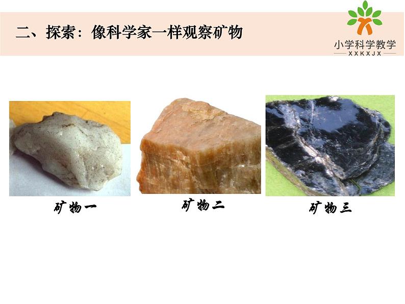 四下3-3《岩石的组成》第8页