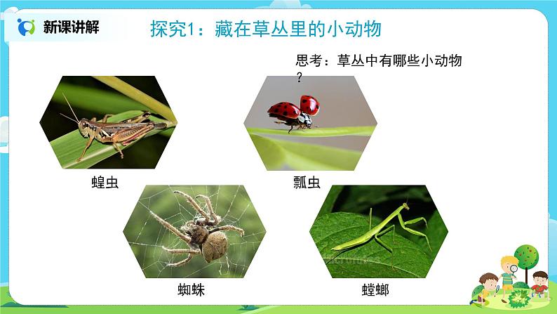 粤教版科学三上1.4《草丛里的小动物》课件第4页