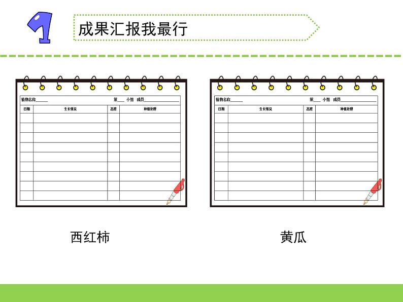 4.植物结果了(福建 林美玲 李琳)(第一、二课时)第3页