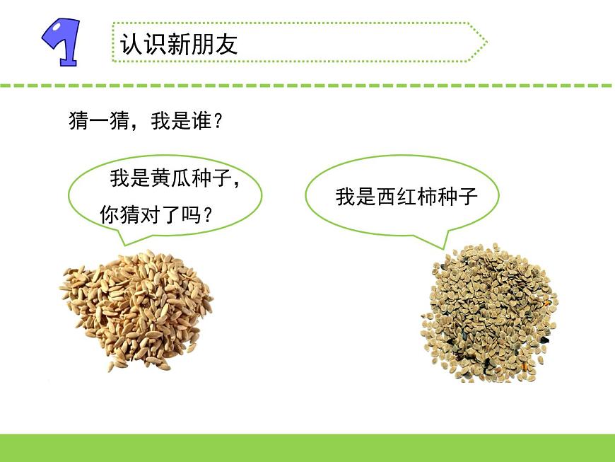 1.種子發(fā)芽了 (第一課時)第1頁
