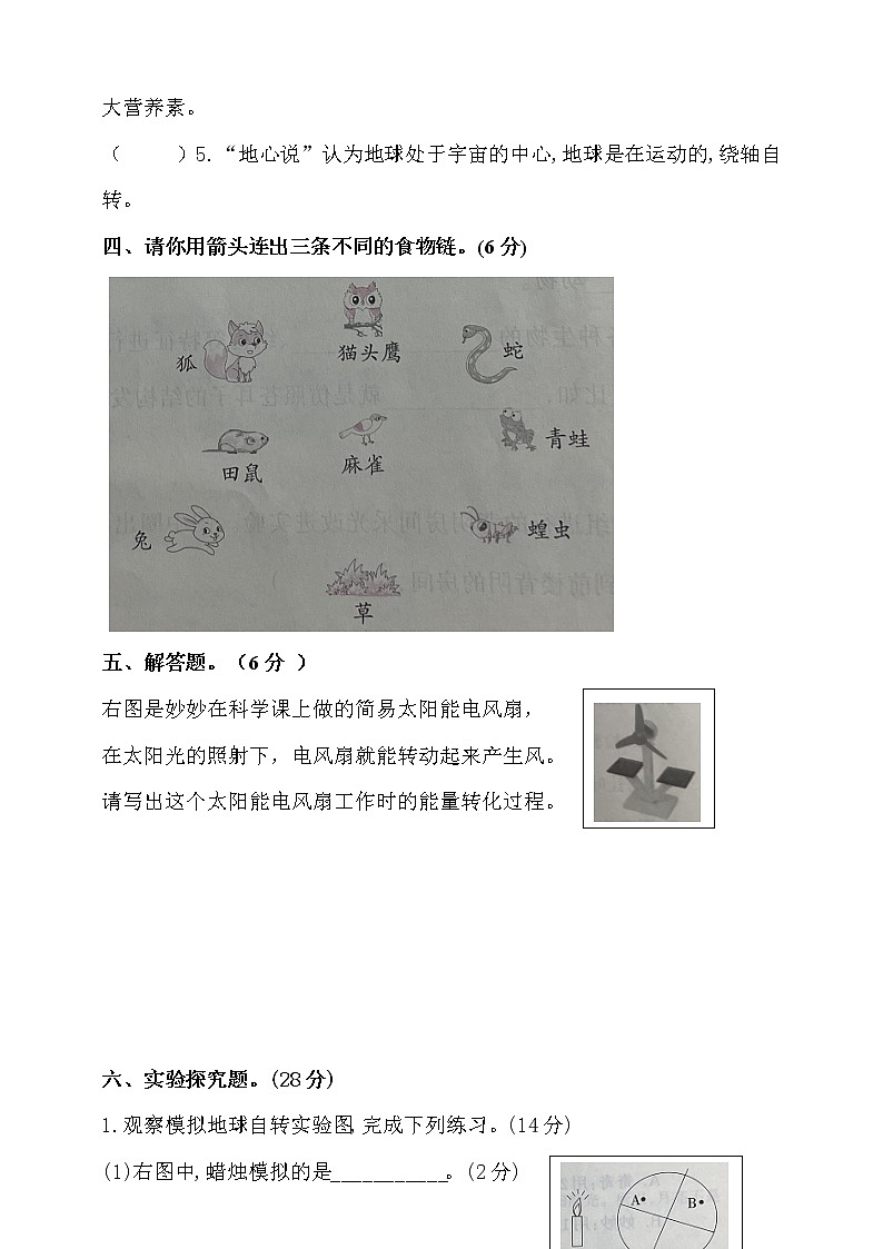 新大象版科学五年级下册期末测试卷2(含答案)第3页
