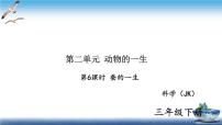 教科版 (2017)三年級下冊6.蠶的一生練習(xí)題ppt課件
