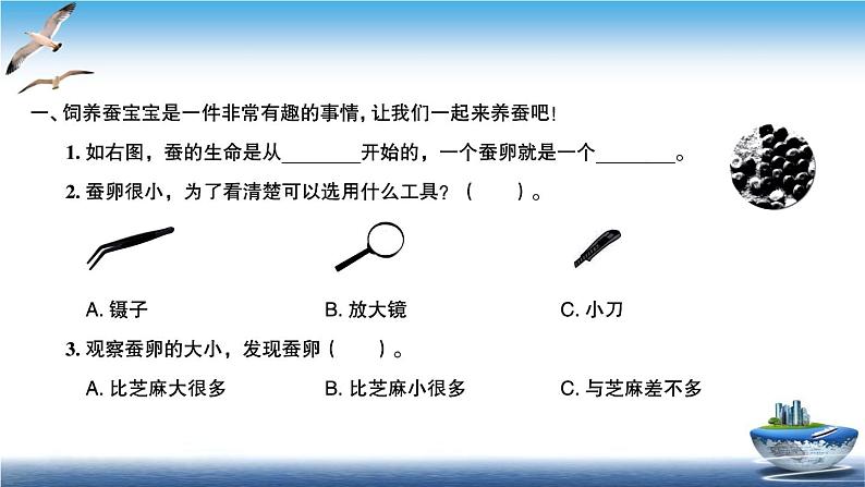 2020新教科版三年级下册科学第1课时迎接蚕宝宝的到来练习题课件(6张PPT) 试卷02