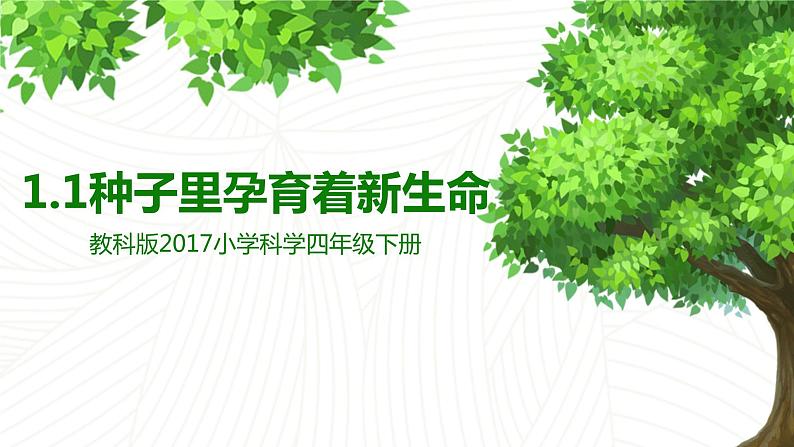 教科版(2017秋)四年级下册1.1种子里孕育着新生命课件(10张PPT)01