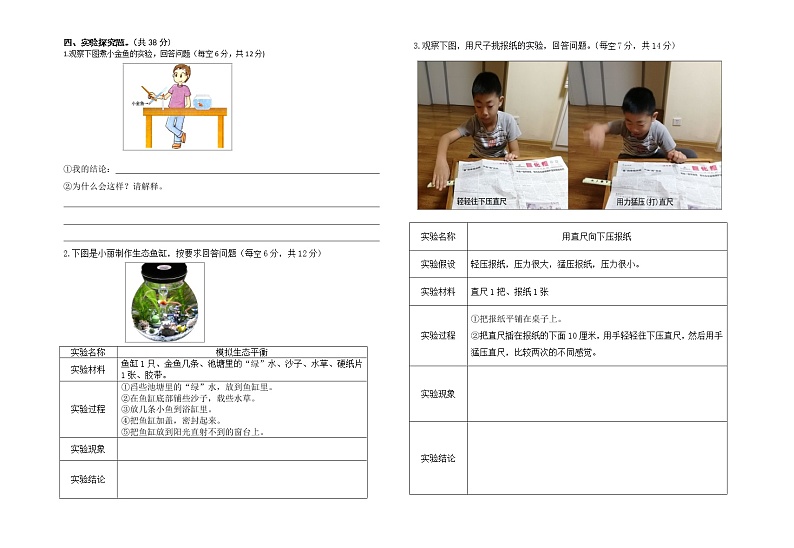 苏教版六年级下册科学期末试卷4(含答案)第2页