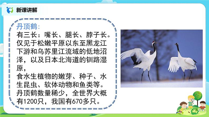 粤教版科学三上1.7《网上学习:保护动物》课件第7页