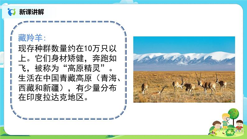 粤教版科学三上1.7《网上学习:保护动物》课件第8页