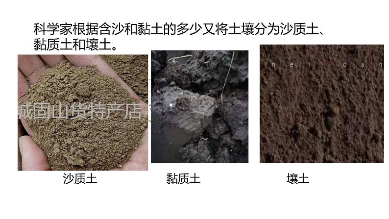 【视频引导 PPT】冀人版四下第1单元第2课-沙质土、黏质土和壤土06