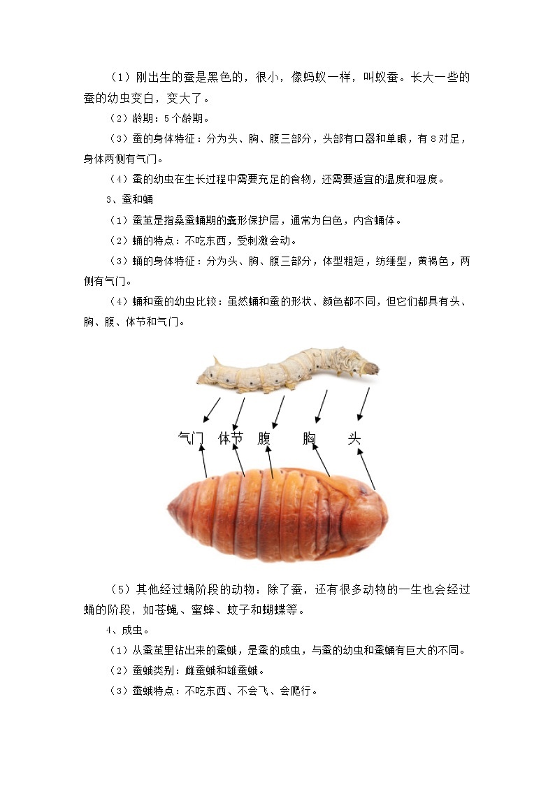 教科版 科学三年级下册 第二单元《动物的一生》知识总结第2页