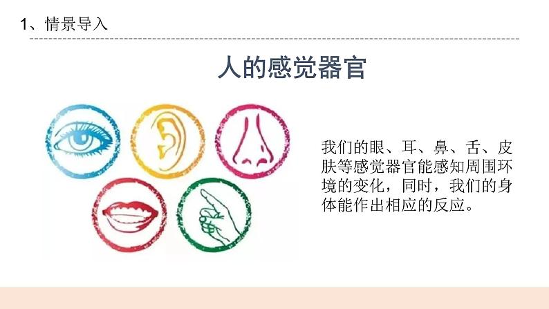 3.1《测试我们的反应》课件第3页