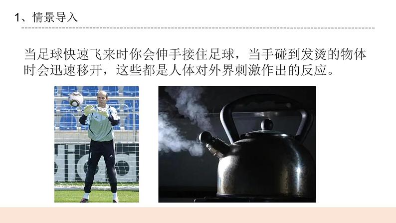 3.1《测试我们的反应》课件第4页