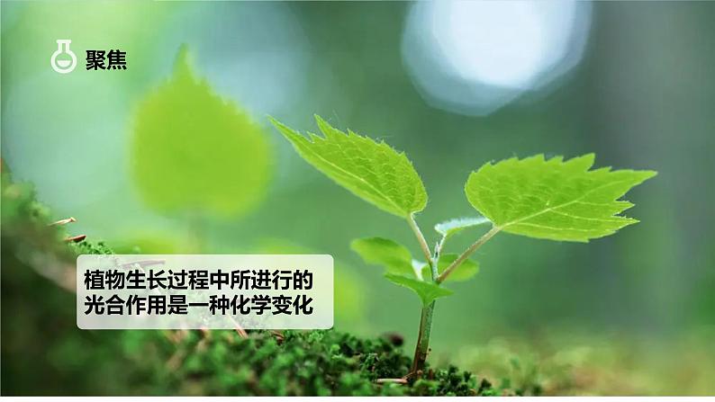 4.6生命体中的化学变化(课件)教科版(2017)科学六年级下册02
