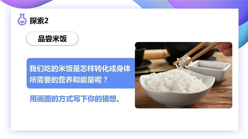 4.6生命体中的化学变化(课件)教科版(2017)科学六年级下册08