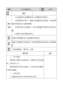 小学科学青岛版 (五四制2017)三年级上册3 叶的蒸腾作用教案及反思