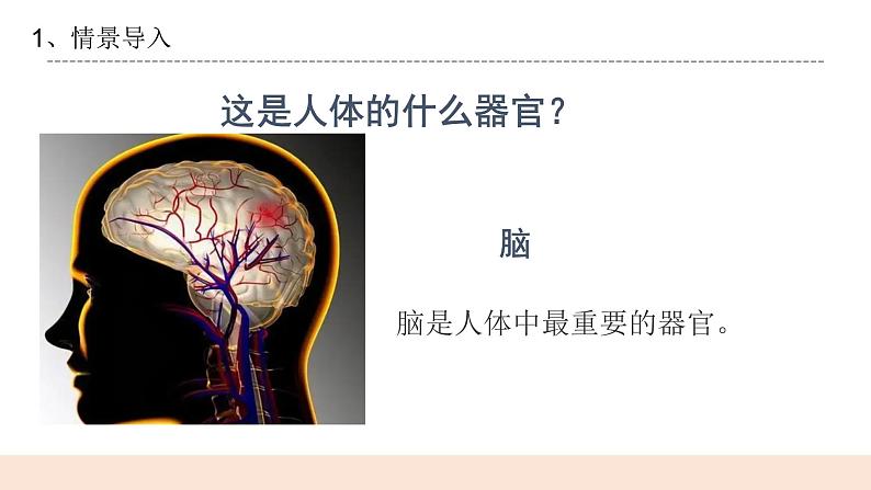 3.2《大脑的作用》课件第3页